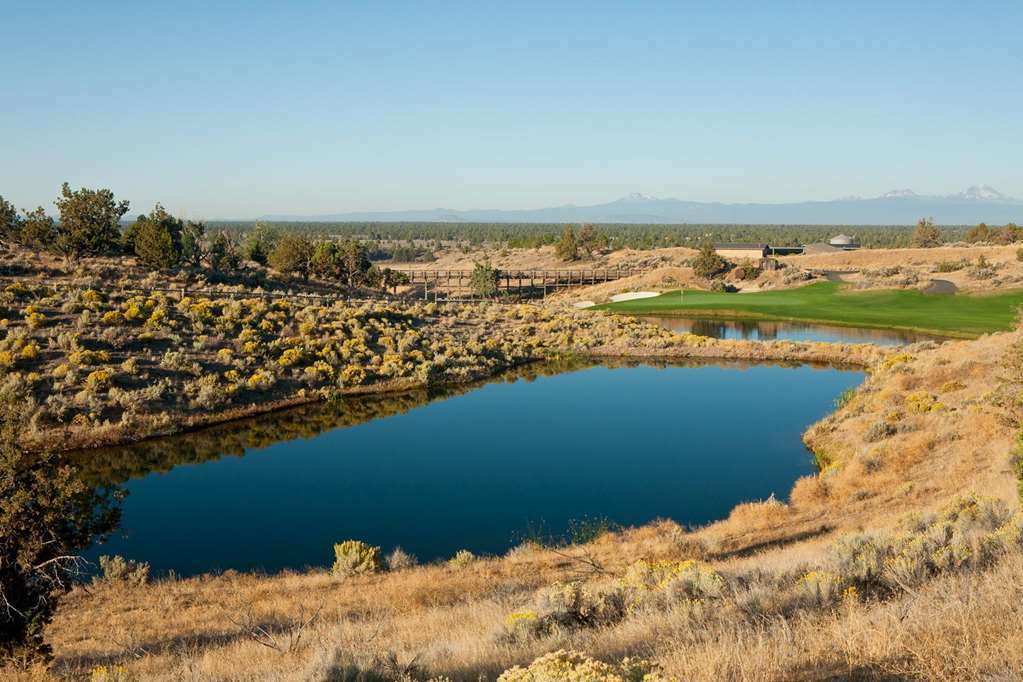Fess Parker Wine Country Inn Los Olivos Δωμάτιο φωτογραφία